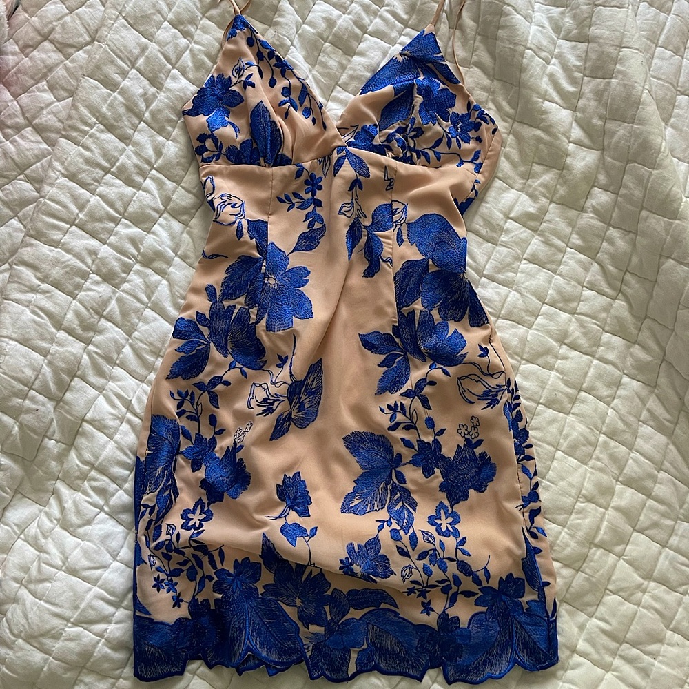 Vintage Lace Overlay Mini Dress